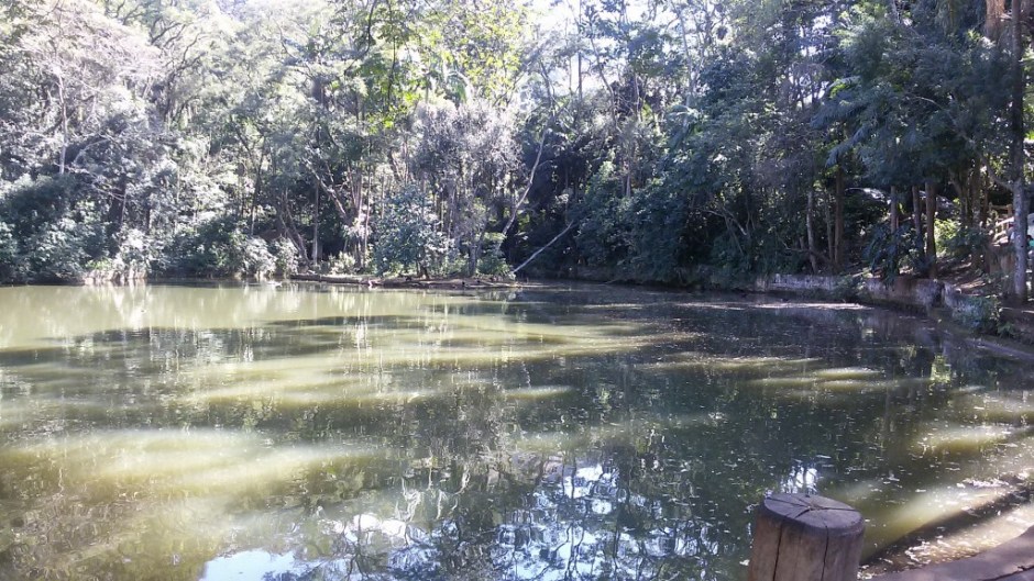 Pico do Jaraguá