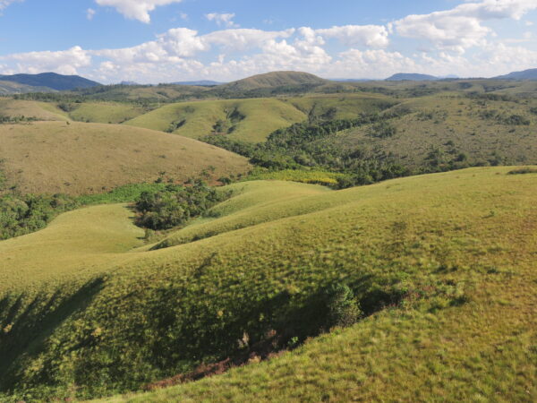 Parque Estadual do Juquery protege último remanescente de cerrado de SP