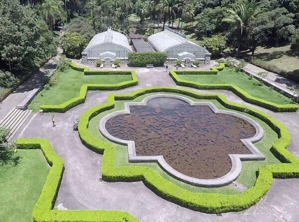 Jardim Botânico de São Paulo, vale uma visita!