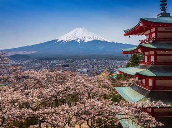 Turismo no Japão: JAPAN HOUSE SÃO PAULO promove encontro online sobre o tema