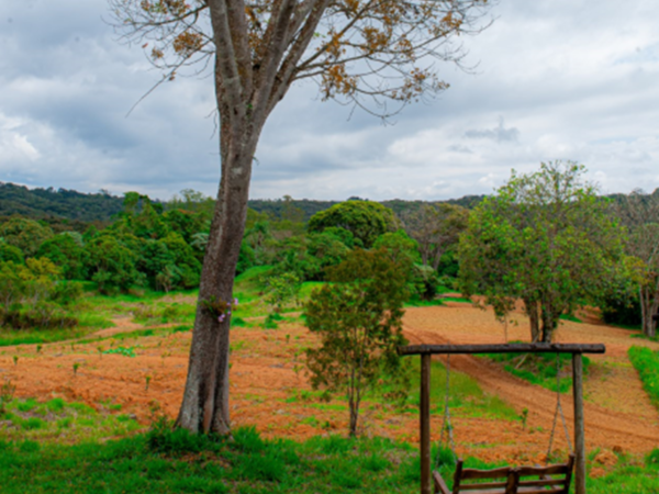 The Roça Park, um passeio diferente na capital paulista