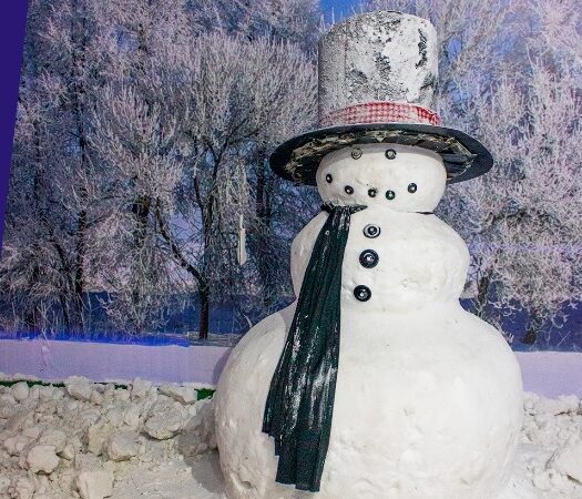 “Ártico Neve e Gelo” permanece no Shopping Interlagos até janeiro