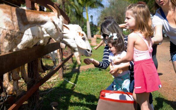 Areia que Canta tem programação infantil especial