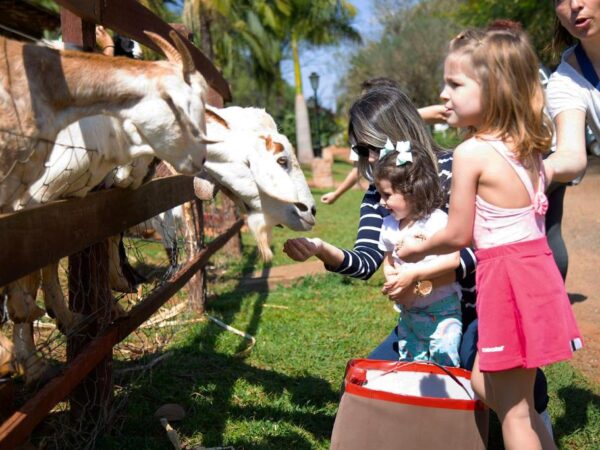 Areia que Canta tem programação infantil especial