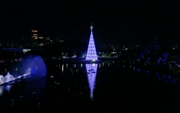 Natal do Parque Ibirapuera 2024 com árvore imersiva de 57 metros de altura